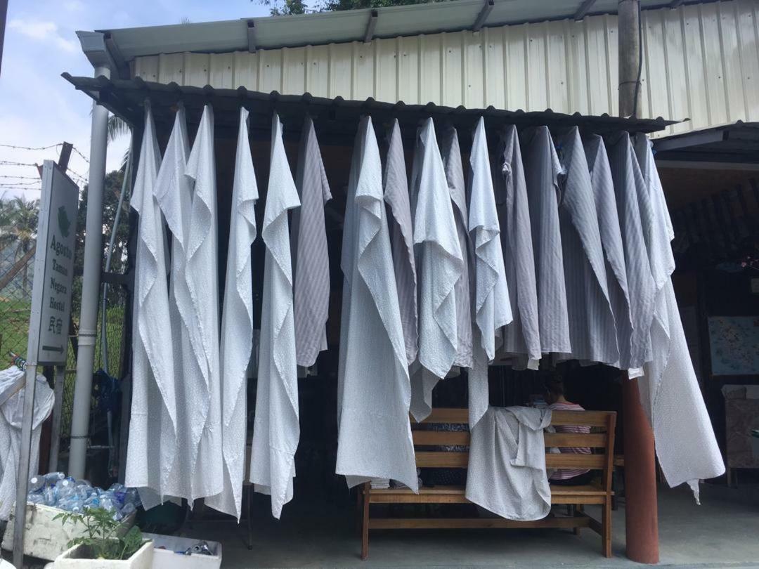 Agosto Taman Negara Hostel Kuala Tahan Esterno foto
