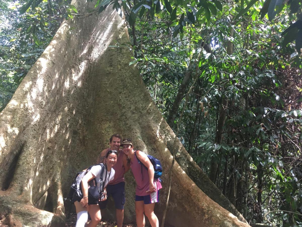Agosto Taman Negara Hostel Kuala Tahan Esterno foto